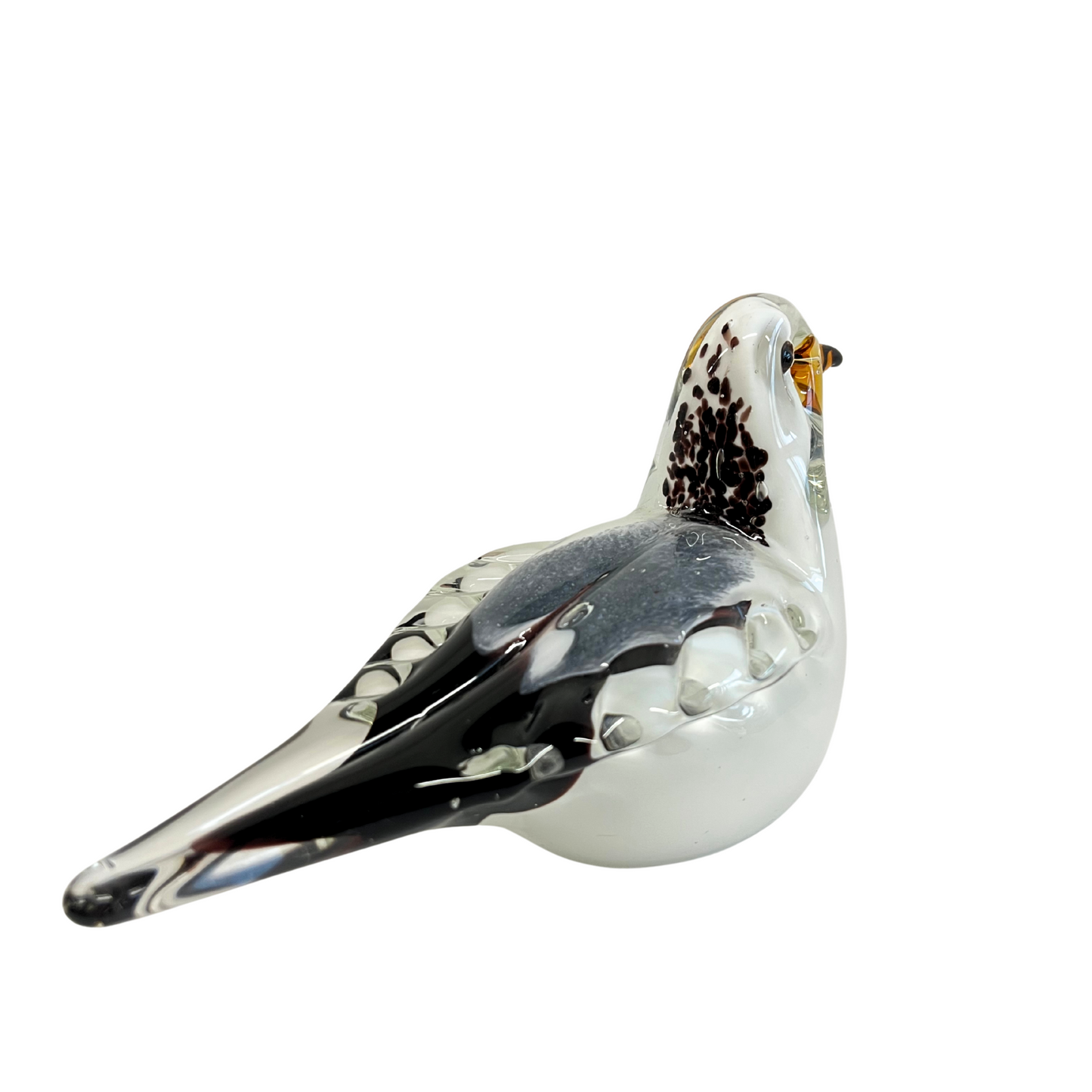 Snowy Seagull