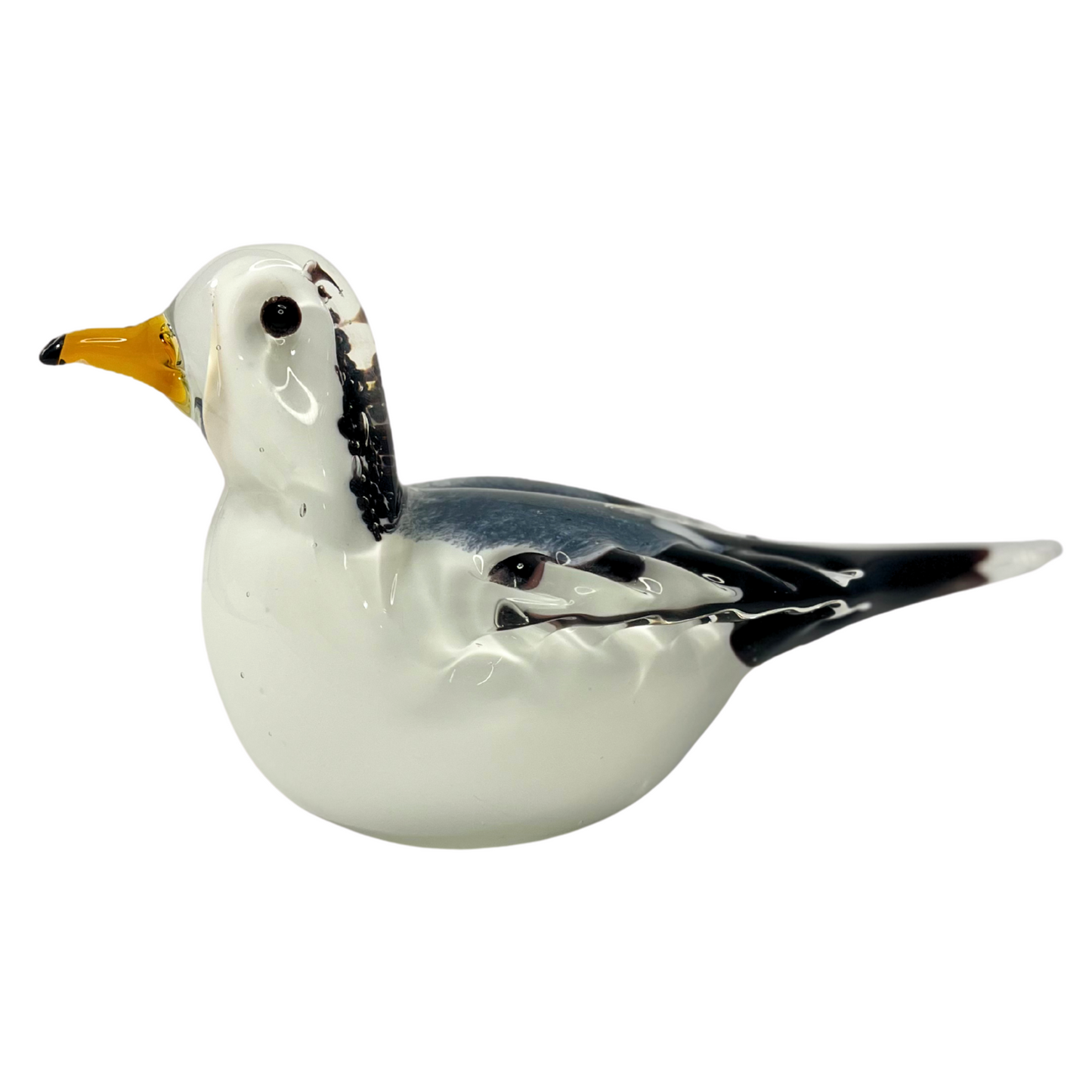 Snowy Seagull