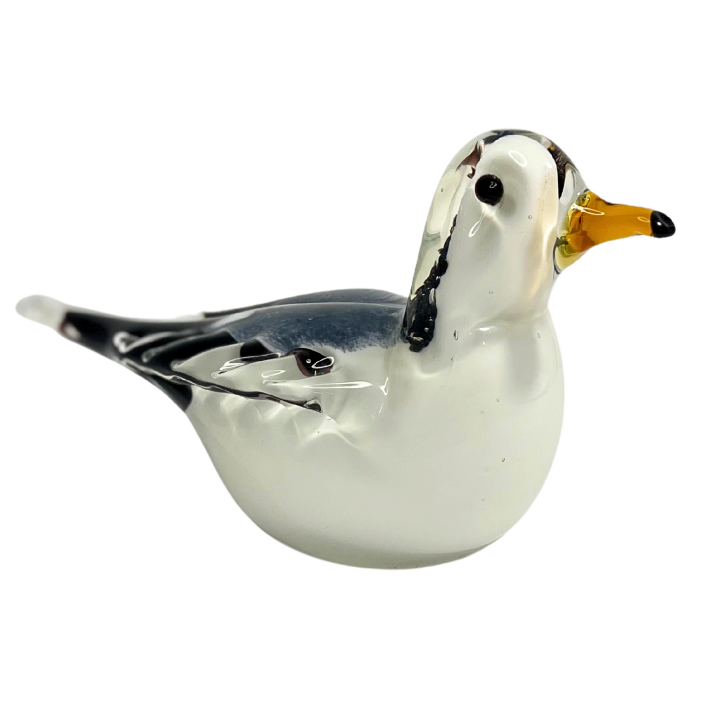 Snowy Seagull