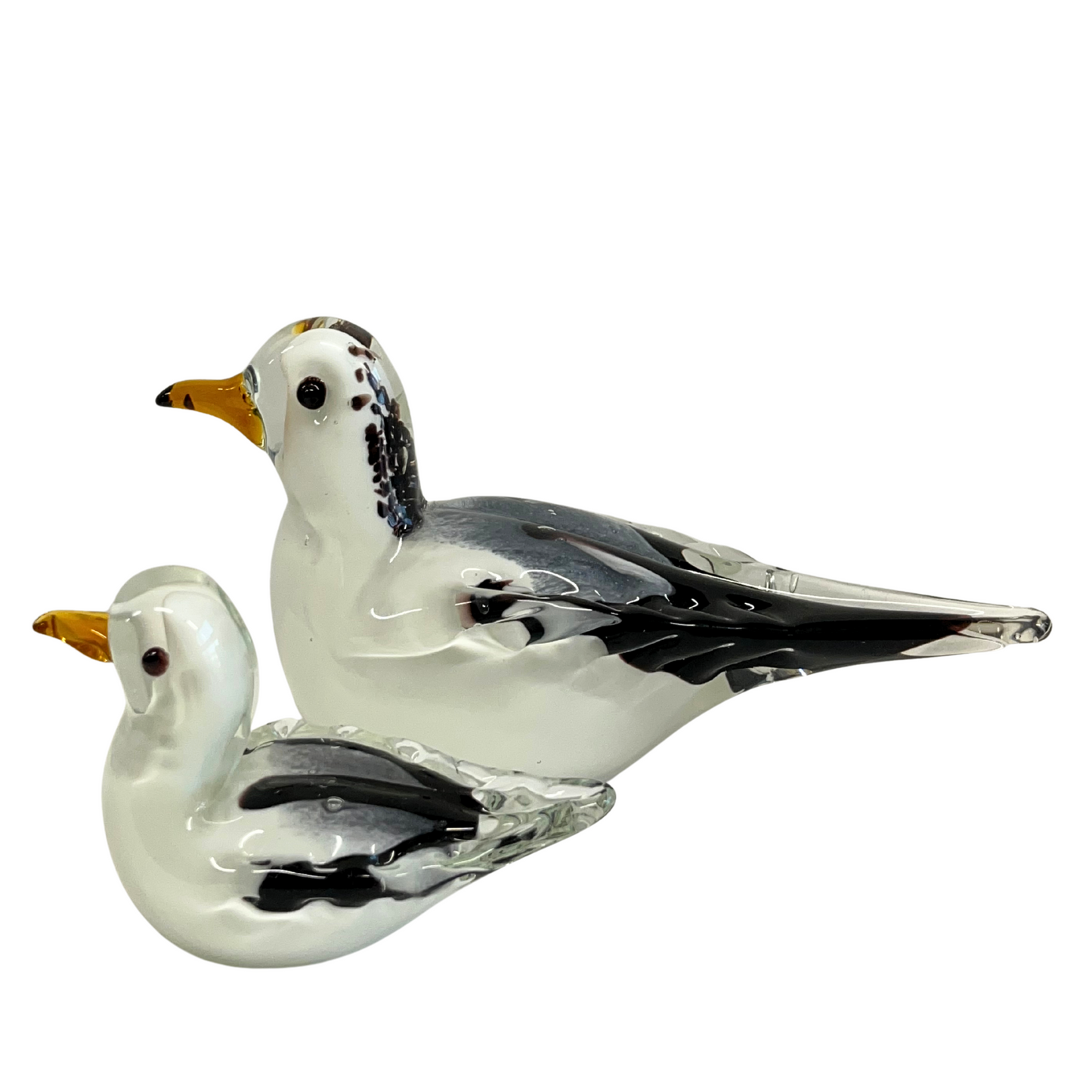 Snowy Seagull