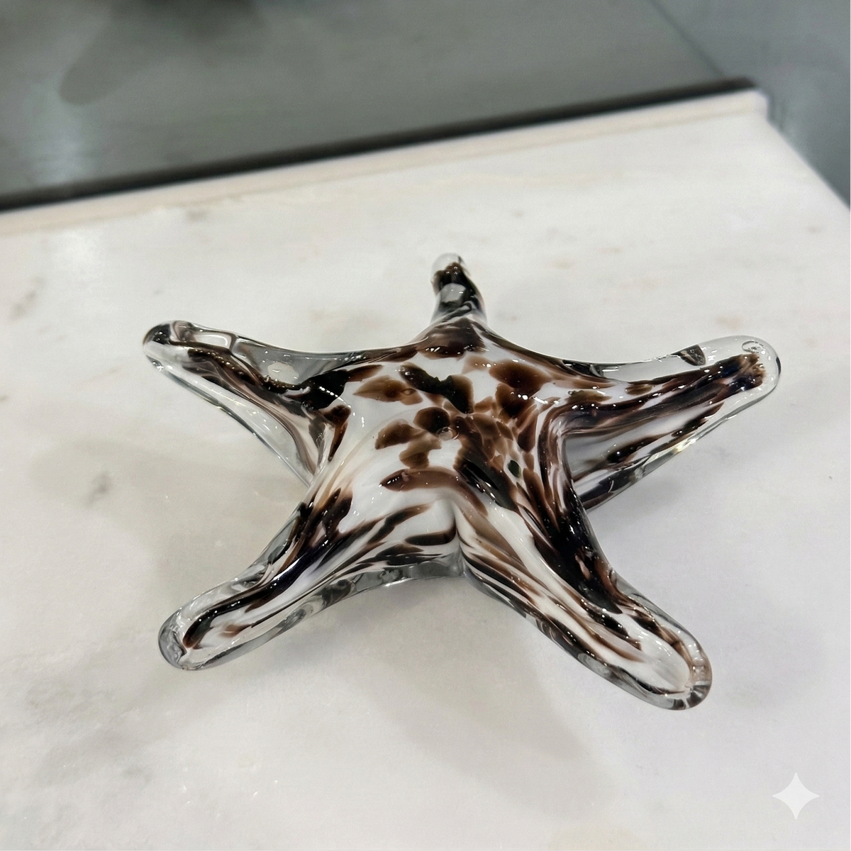 Mocha Starfish