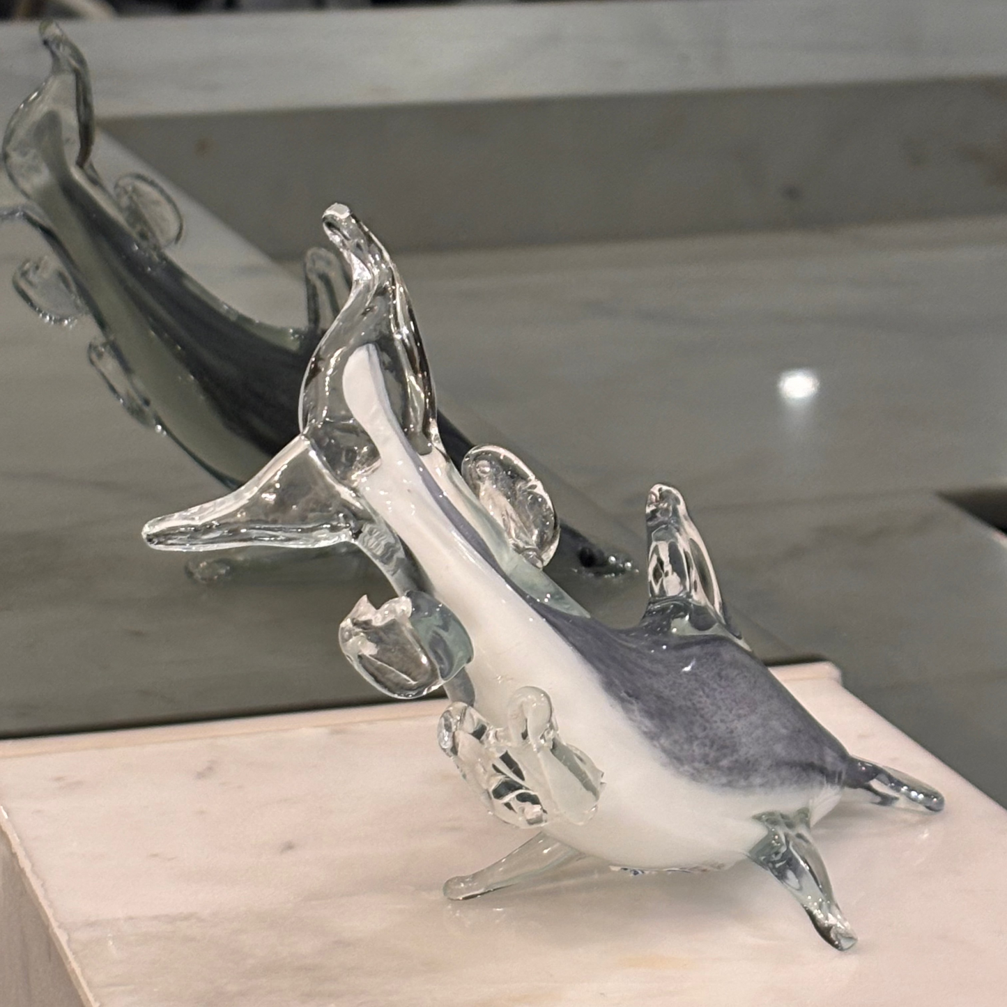 Silver Glide Hammerhead Shark