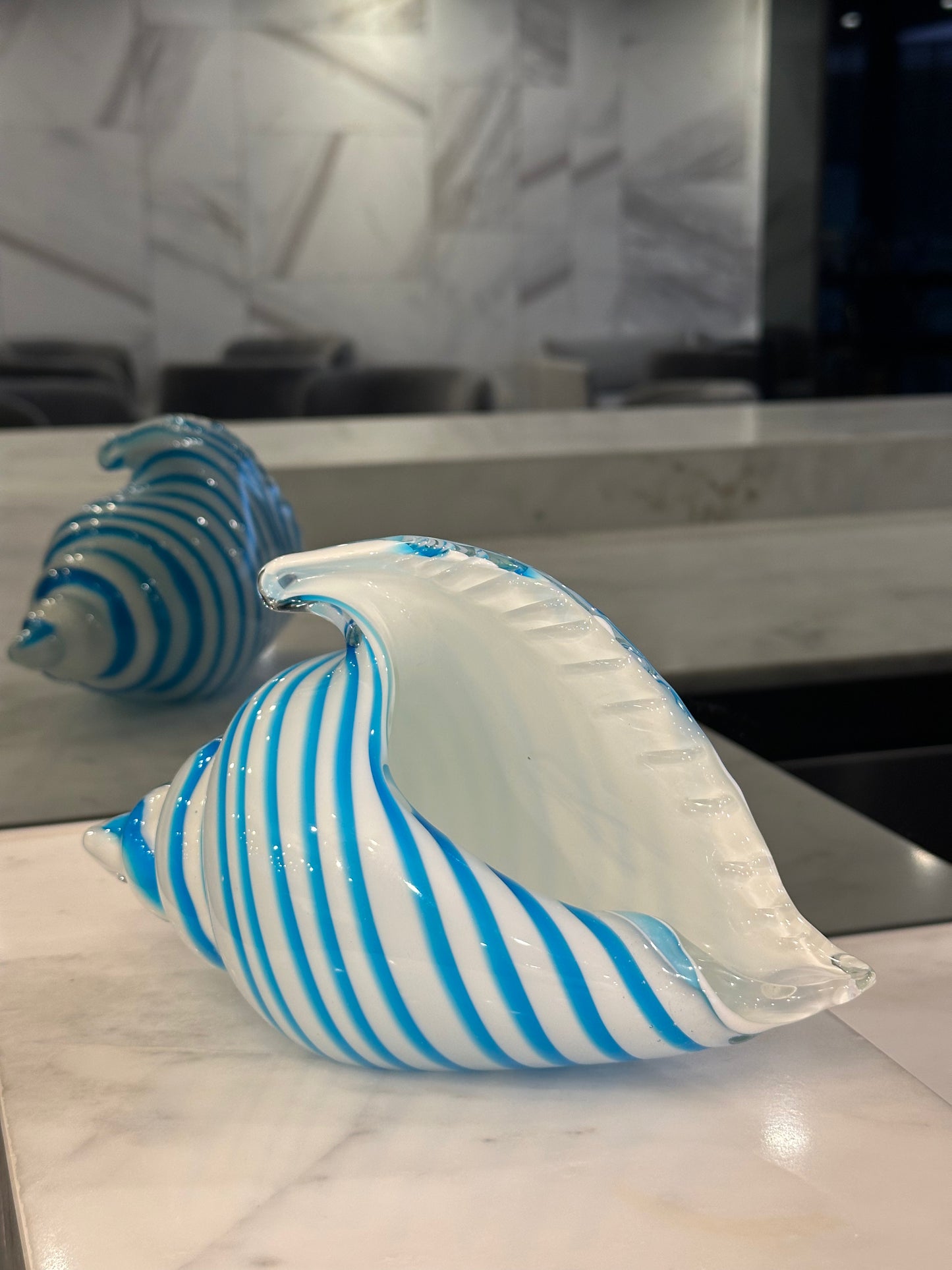 Saltstripe Conch Shell