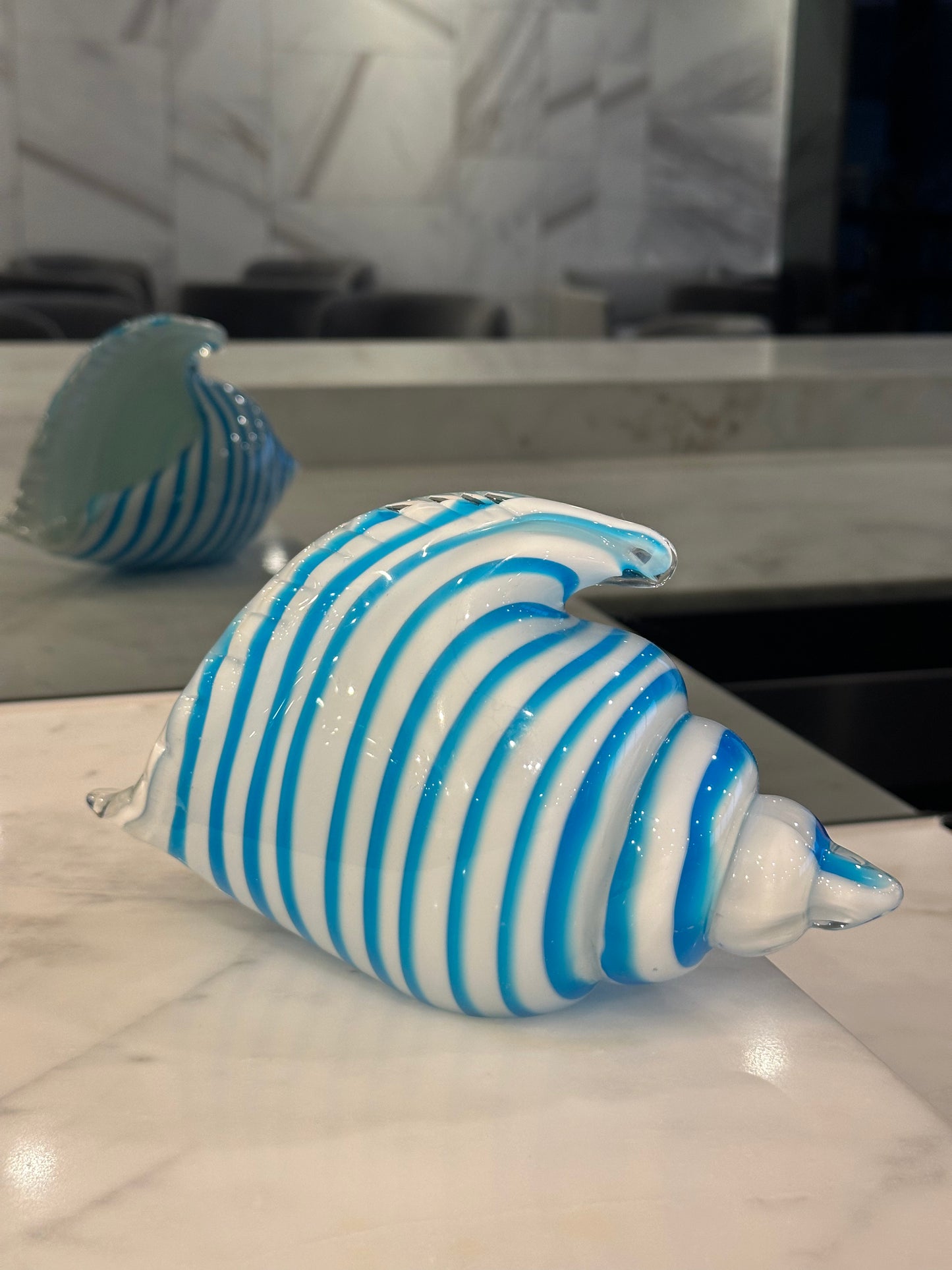 Saltstripe Conch Shell