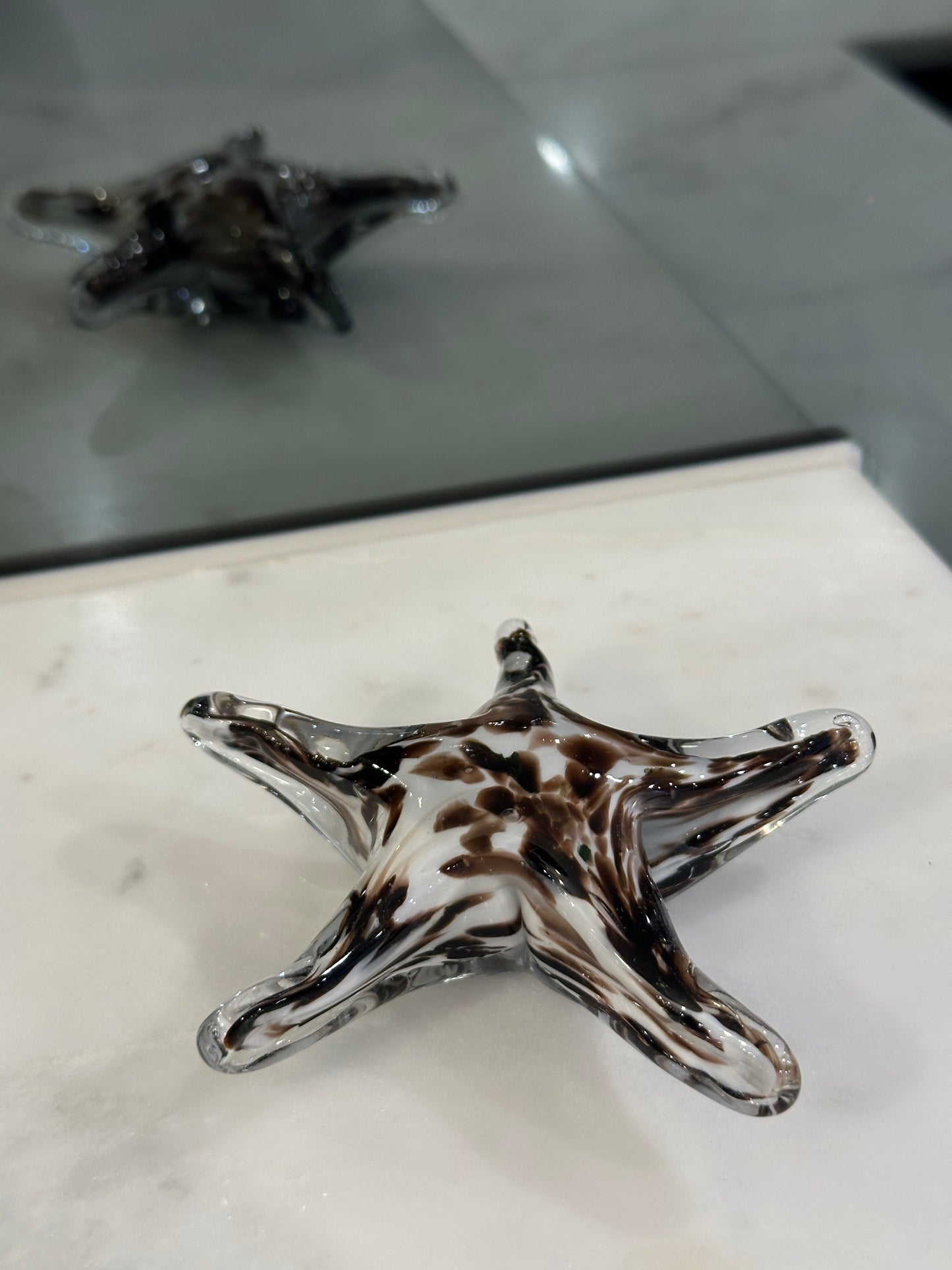 Mocha Starfish