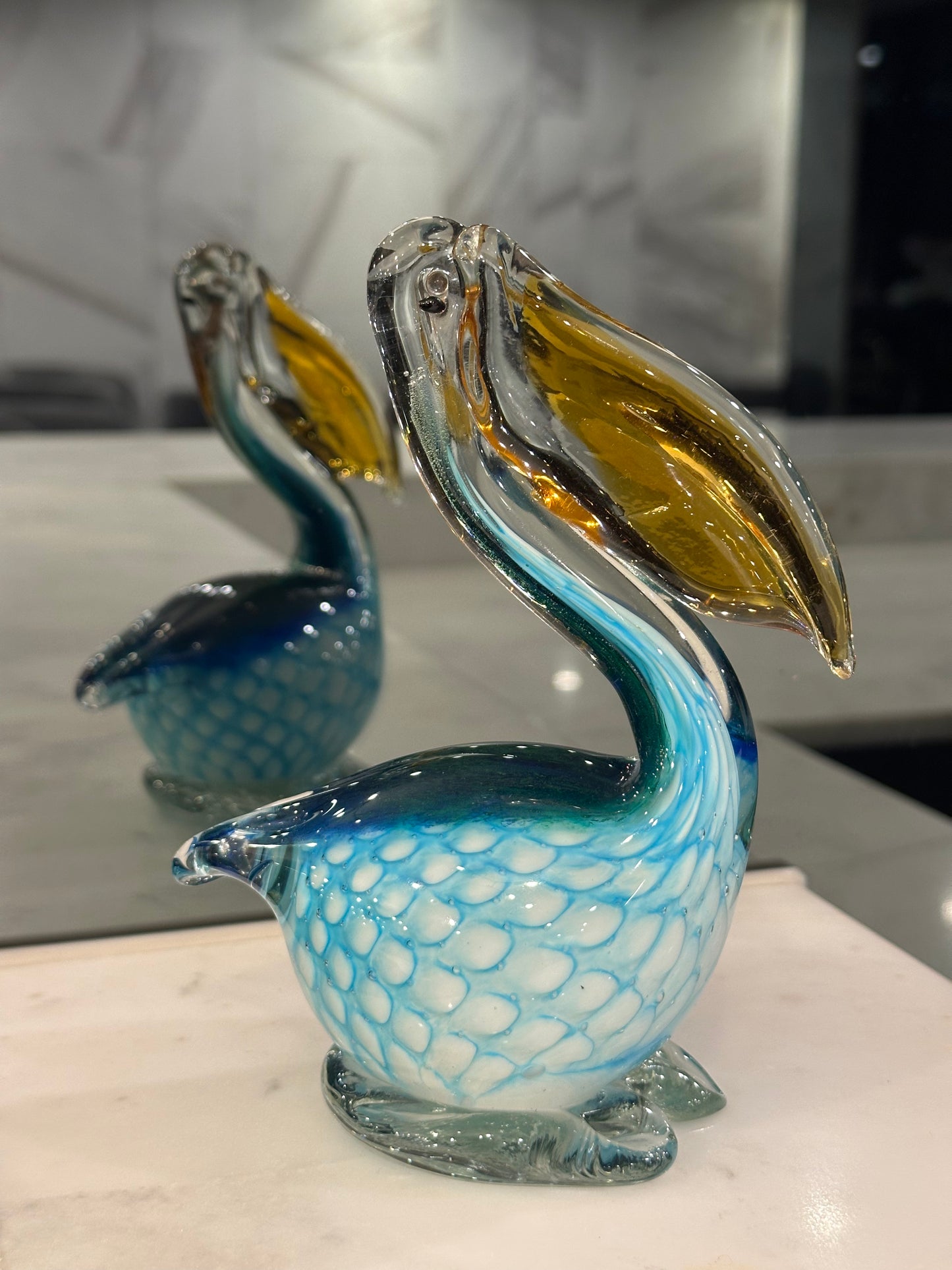 Lagoon Pelican