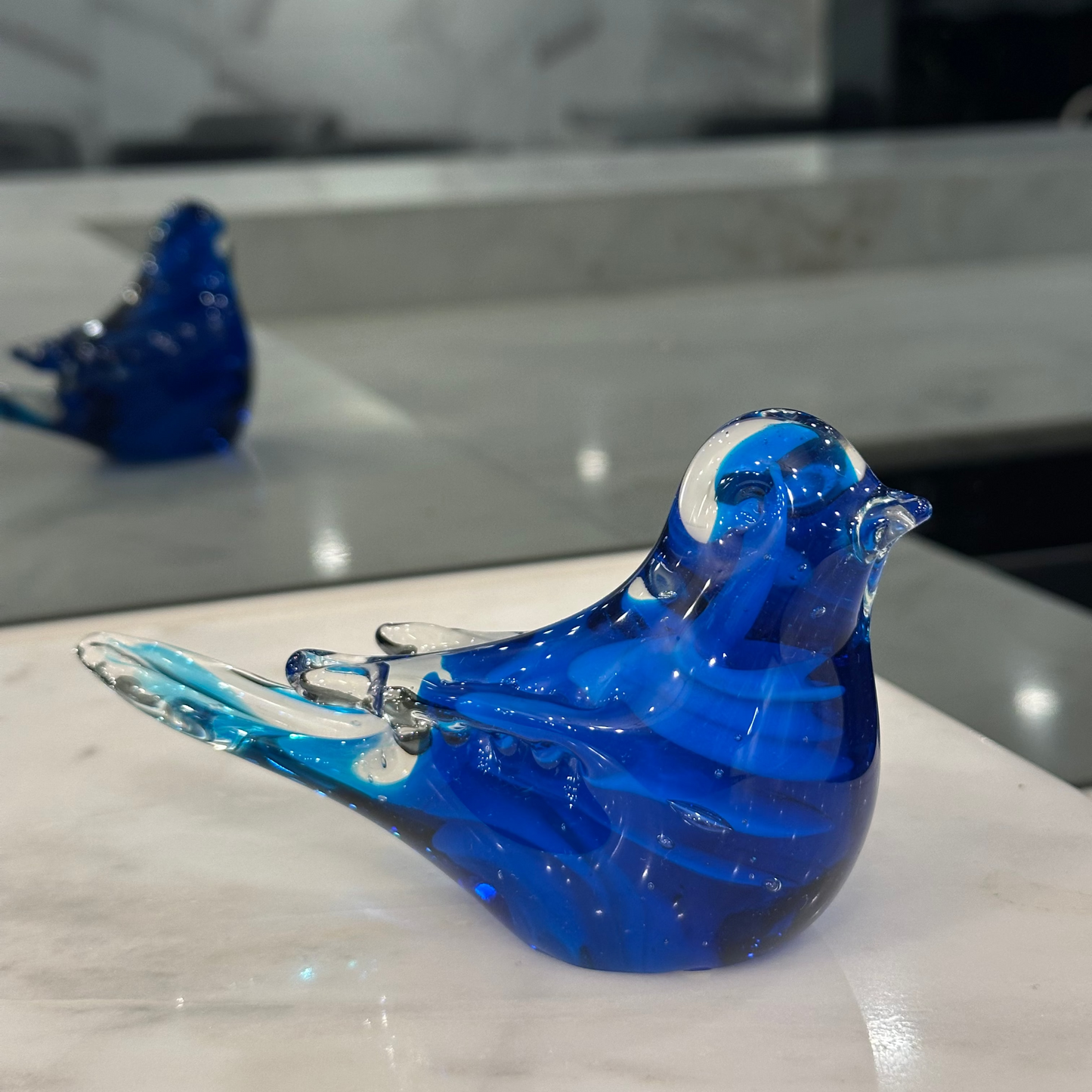 Australian Blue Wren