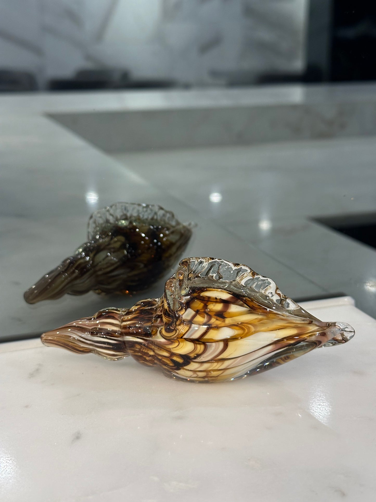 Mini Mocha Conch Shell