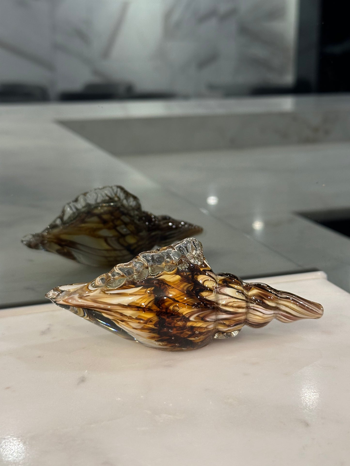 Mini Mocha Conch Shell