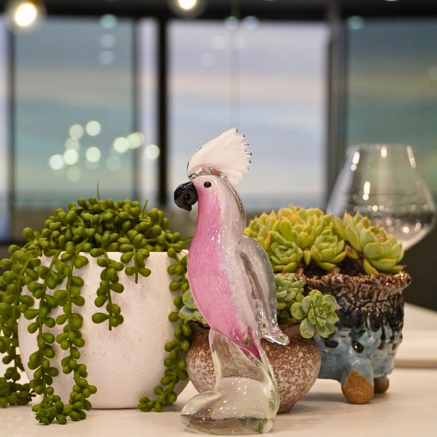 Galah Cockatoo