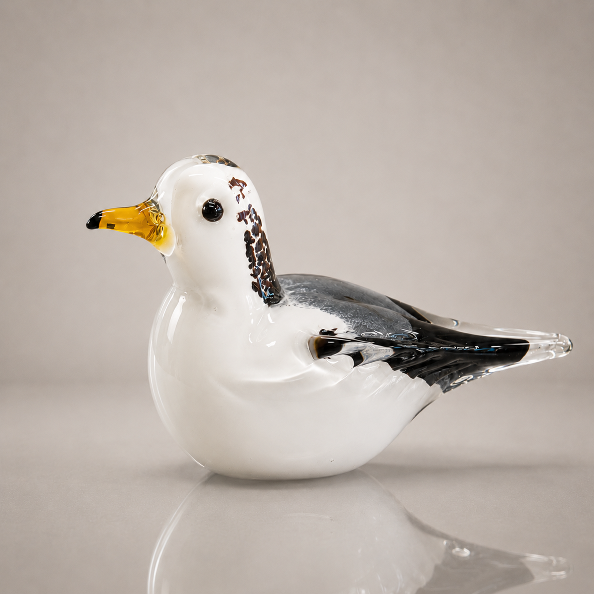 Snowy Seagull