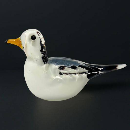 Snowy Seagull