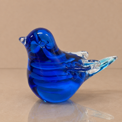 Australian Blue Wren