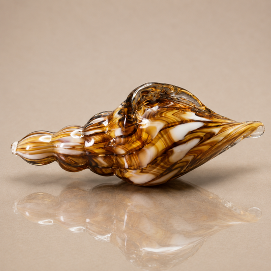 Mini Mocha Conch Seashell