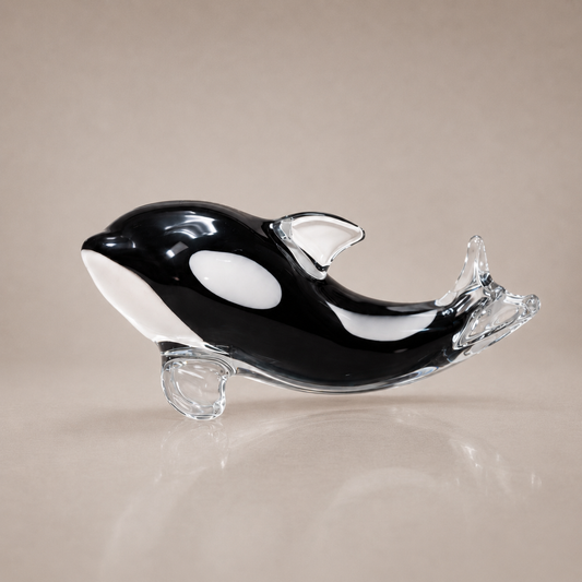 Baby Ocean Orca
