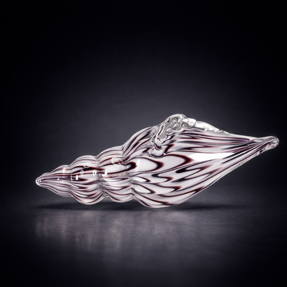 Rosewood Conch Seashell