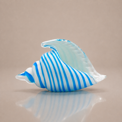 Saltstripe Conch Shell