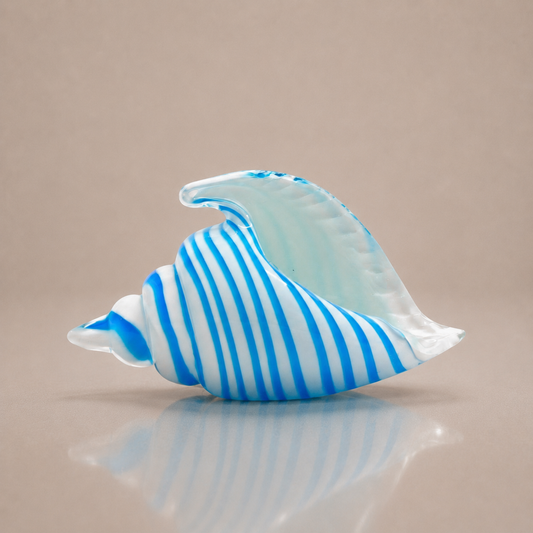 Saltstripe Conch Shell