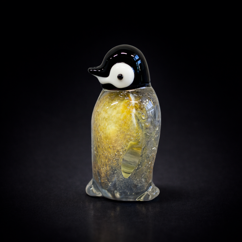 Baby Emperor Penguin