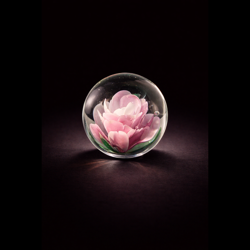 Powder Pink Bloom Glass Rose Paperweight, Small