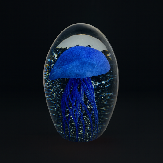 Blue jellyfish in a clear dome