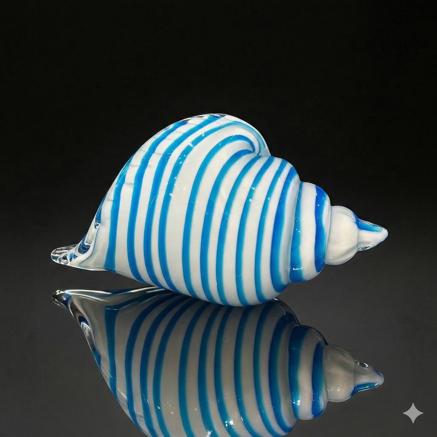 Saltstripe Conch Shell