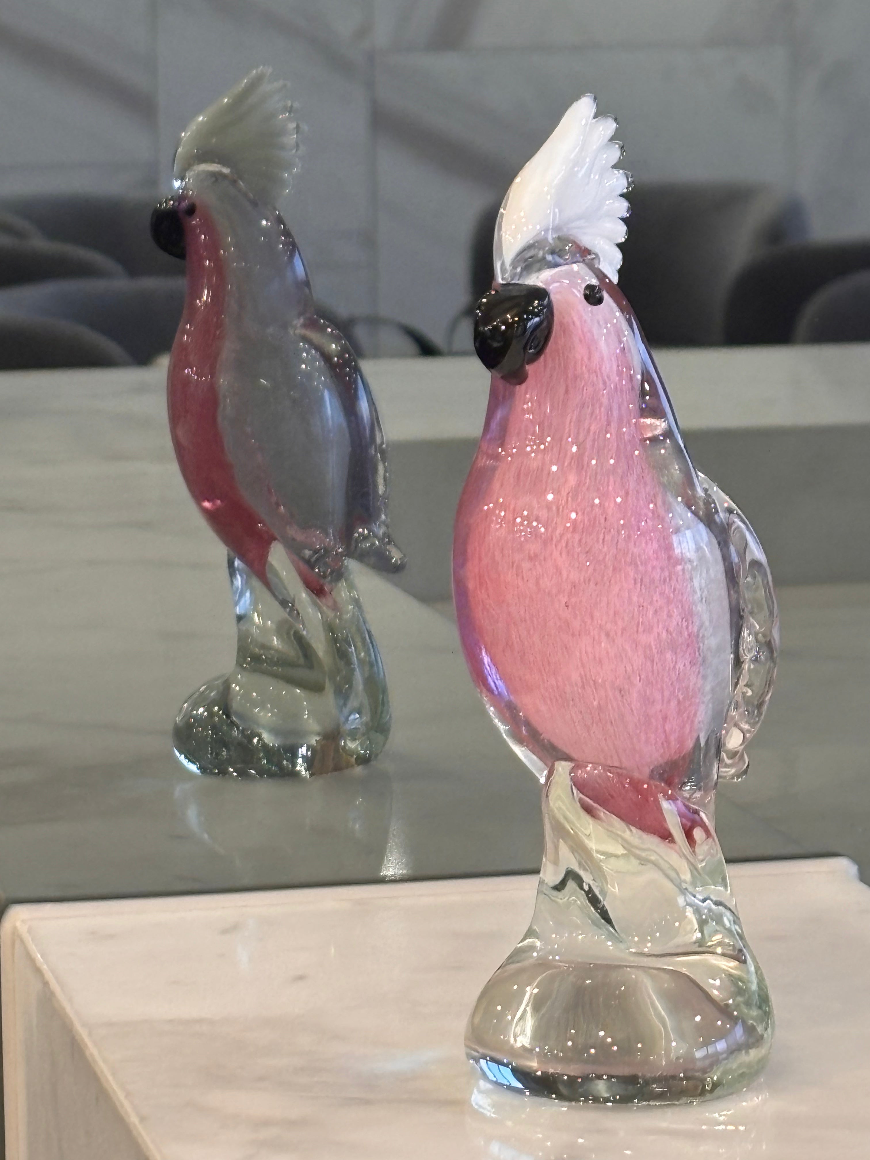 Galah Cockatoo