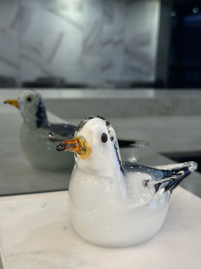 Snowy Seagull