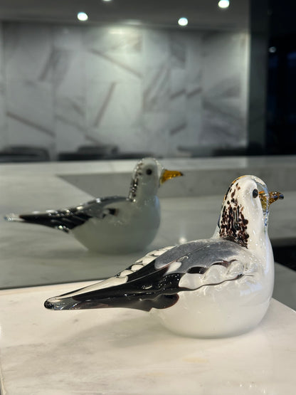 Snowy Seagull