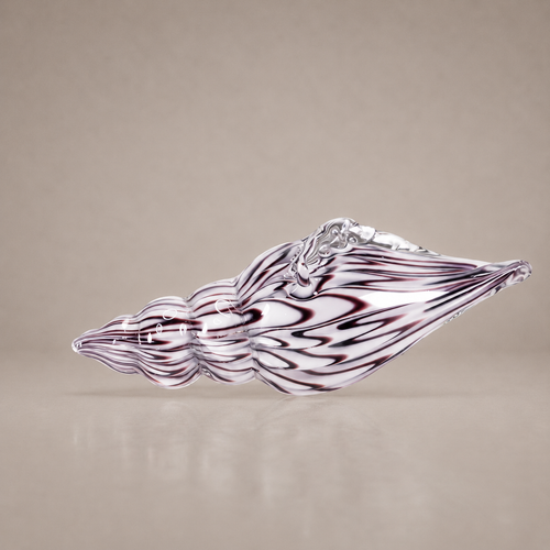 Rosewood Conch Seashell