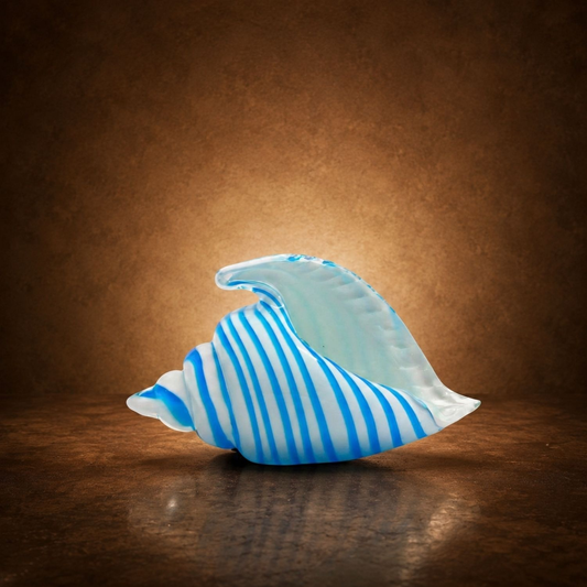 Saltstripe Conch Shell