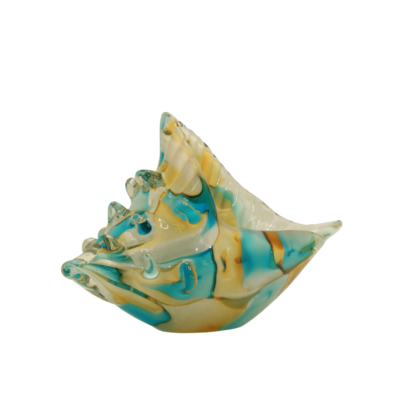 Golden Tide Conch Shell