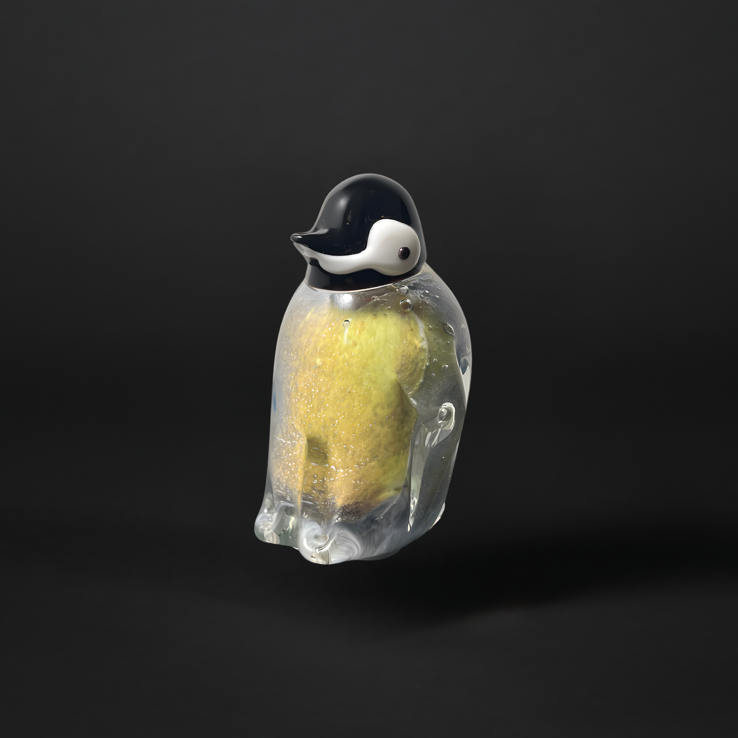 Baby Emperor Penguin