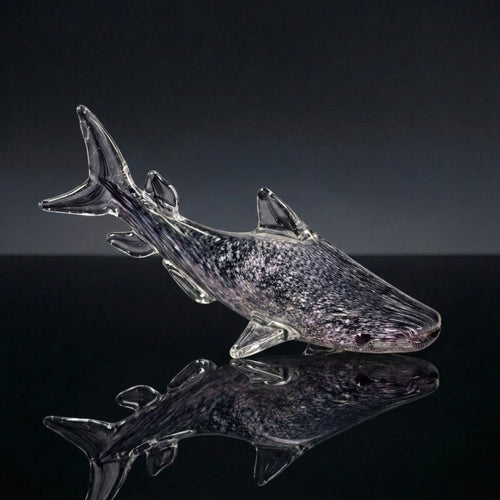 Sandglass Whale Shark