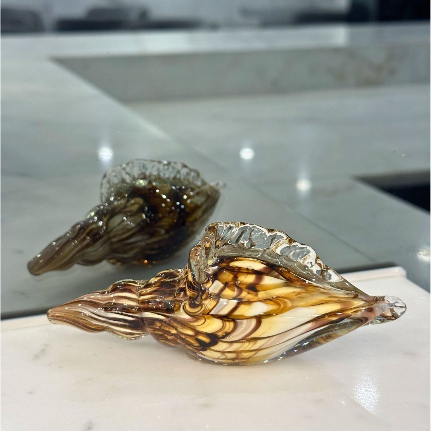 Mini Mocha Conch Seashell
