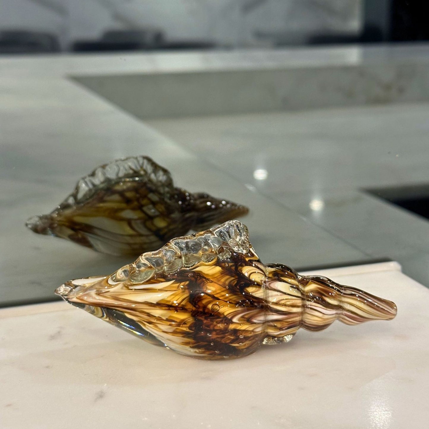 Mini Mocha Conch Seashell