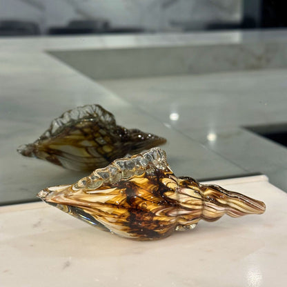 Mini Mocha Conch Seashell