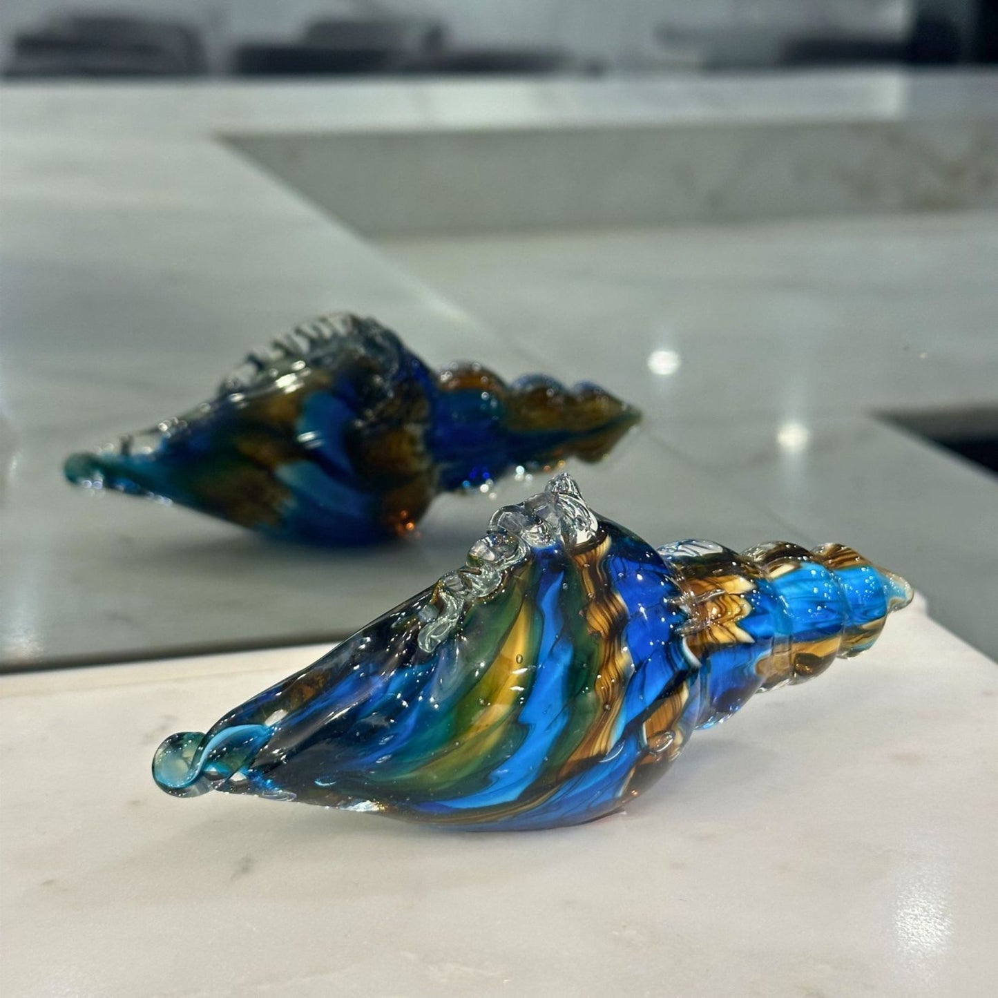 Mini Dusktide Conch Seashell