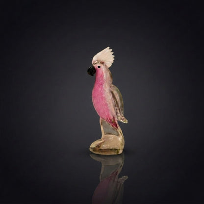Galah Cockatoo