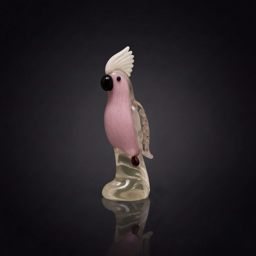Galah Cockatoo