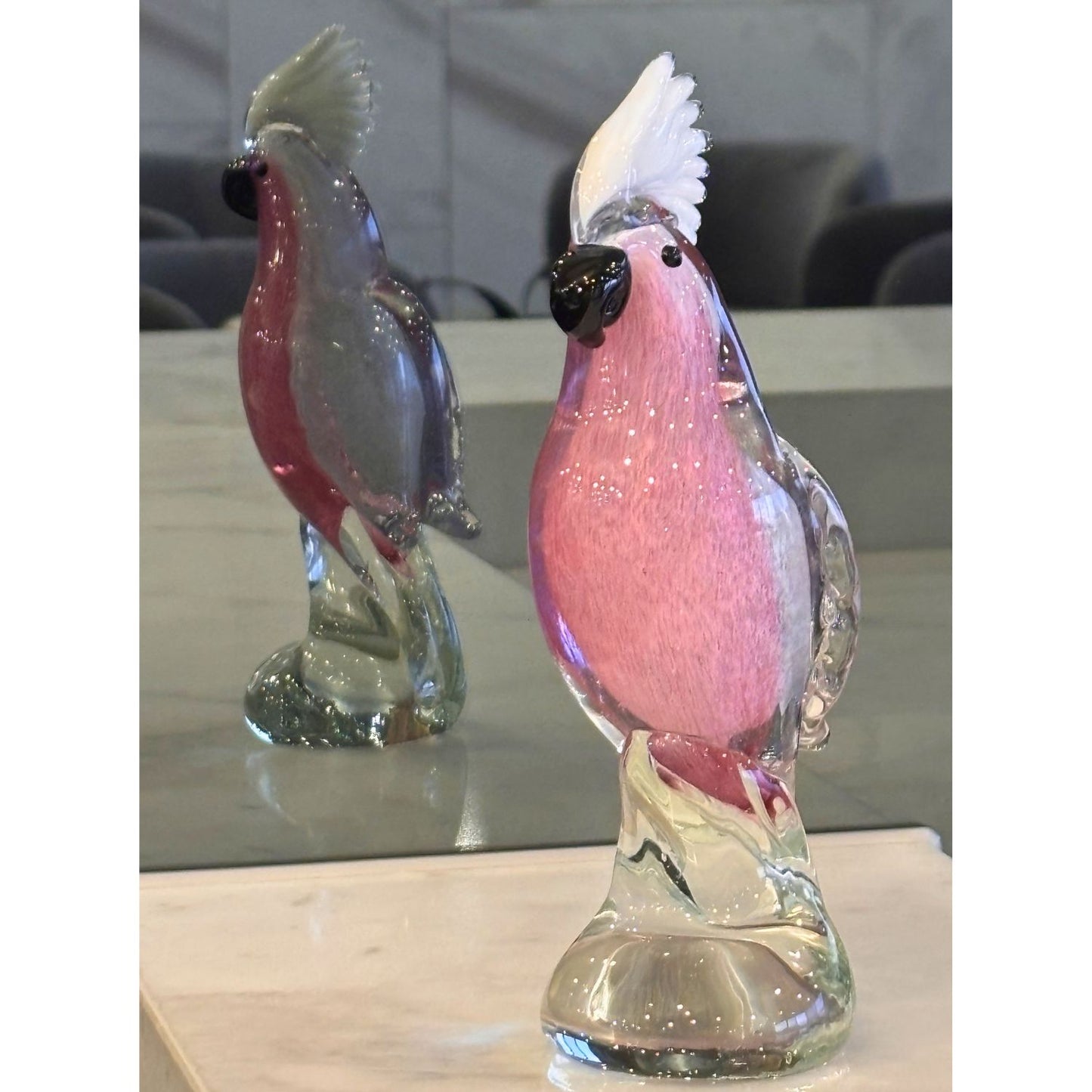 Galah Cockatoo