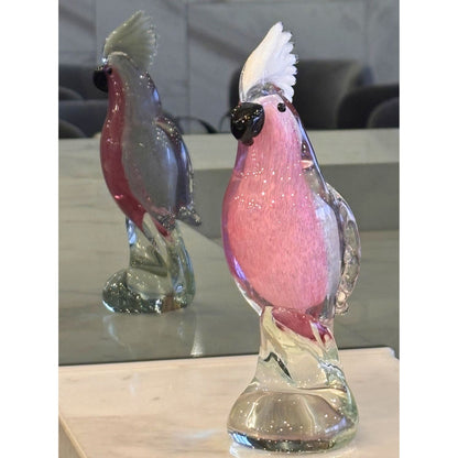 Galah Cockatoo