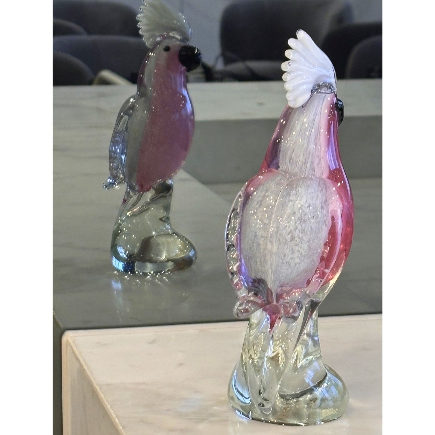 Galah Cockatoo