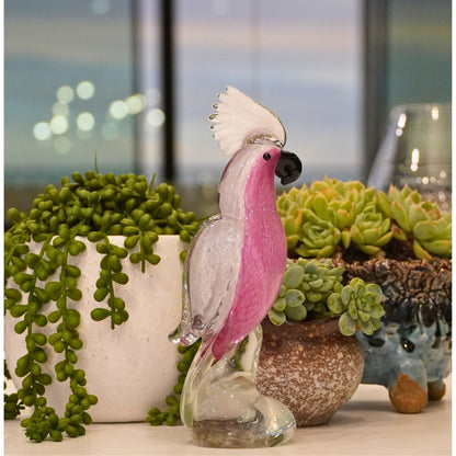 Galah Cockatoo