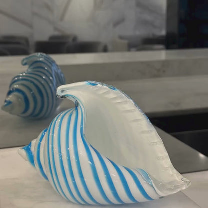 Saltstripe Conch Shell