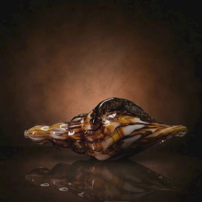 Mini Mocha Conch Seashell