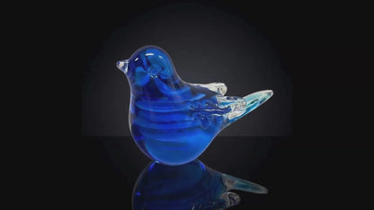 Australian Blue Wren